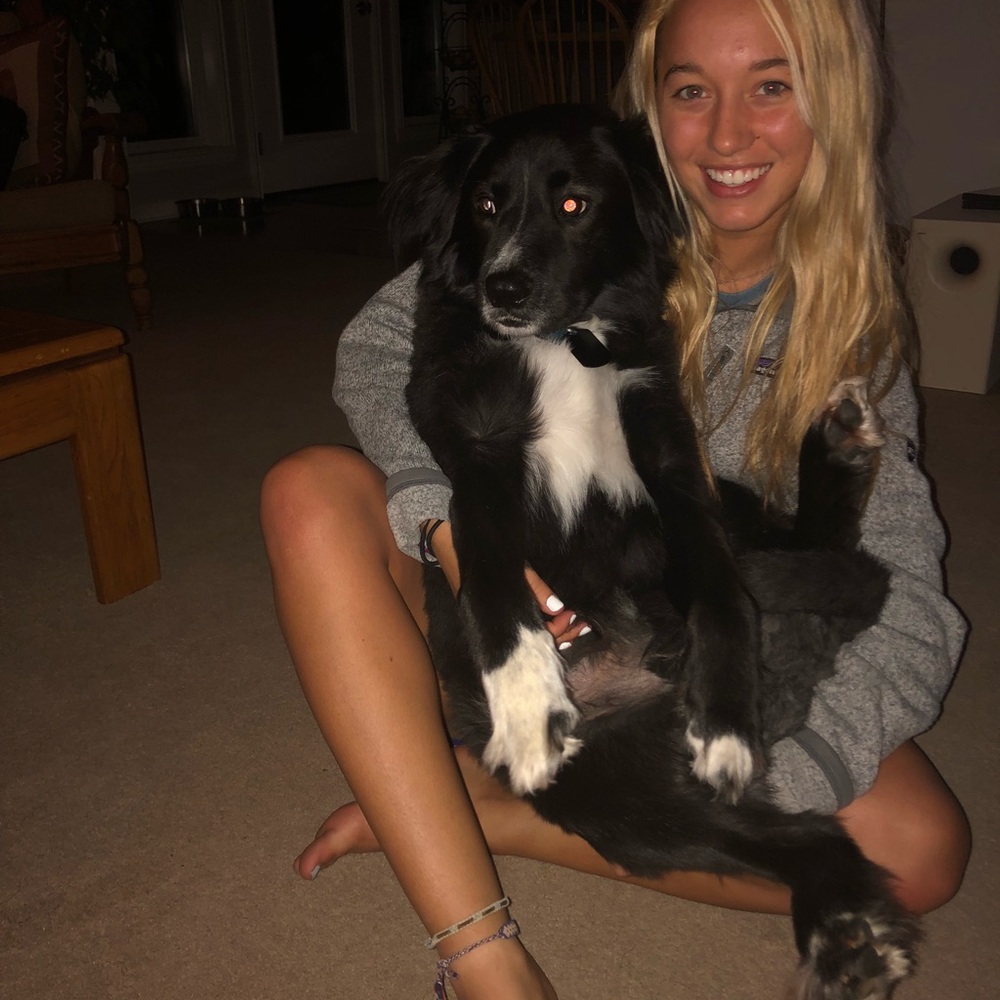 Meet your Posher, Lyndsey